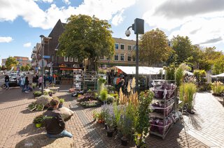 Hoge Larenseweg 103 HILVERSUM