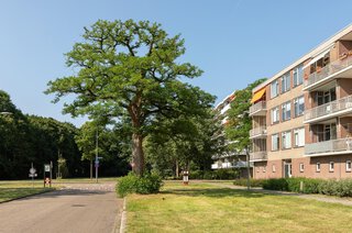 Geert Grootelaan 35 HILVERSUM