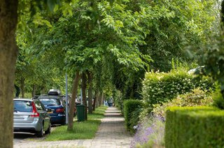 Moerbeilaan 36 HILVERSUM
