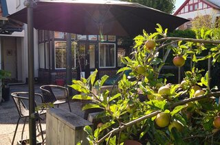 Violenstraat 51 HILVERSUM
