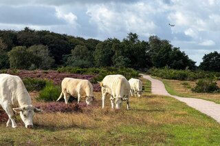 Van Brakellaan 22 HILVERSUM