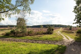 Eikenlaan 42 D HILVERSUM