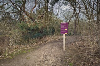 Jacob van Campenlaan 351 HILVERSUM