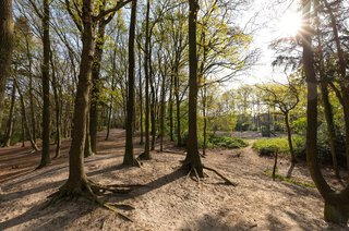 Hindelaan 49 HILVERSUM