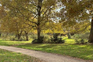 Admiraal de Ruyterlaan 27 HILVERSUM
