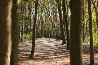 Hindelaan 49 HILVERSUM