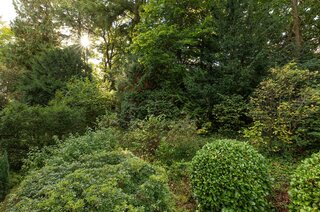 Utrechtseweg 36 3 HILVERSUM