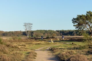 Laan 1940-1945 119 HILVERSUM